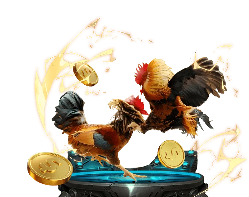 Tích lũy điểm và thăng cấp